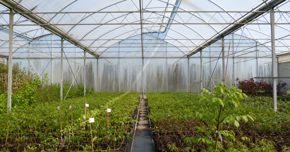 Groen geluk op je balkon door urban farming