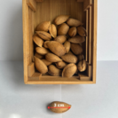 Junger Mandelbaum | Prunus dulcis Avijor