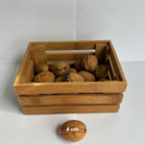 Jonge Walnootboom | Juglans regia Broadview