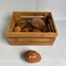 Jeune Noyer | Juglans regia 'Komeet'