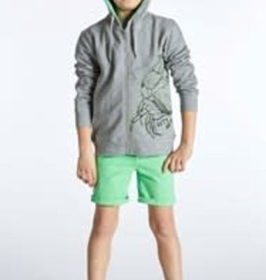 Blue Bay sweater hoodie kap rits grijs Jake