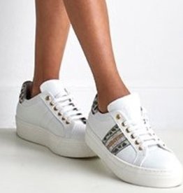 RTB/Hoops sneaker wit goud tijger