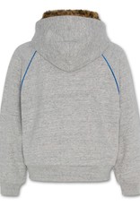 AO76 grijze hoodie met rits