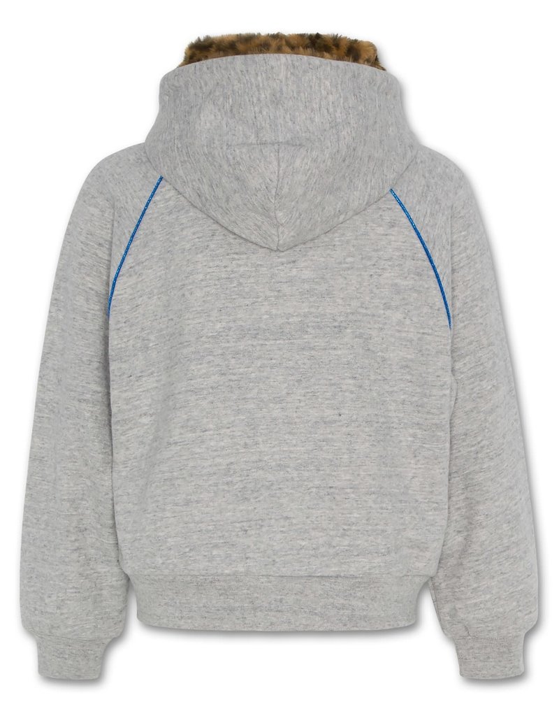 AO76 grijze hoodie met rits