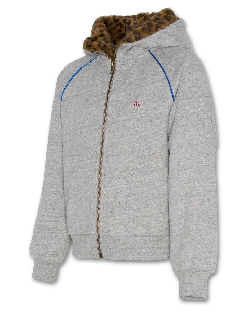 AO76 grijze hoodie met rits