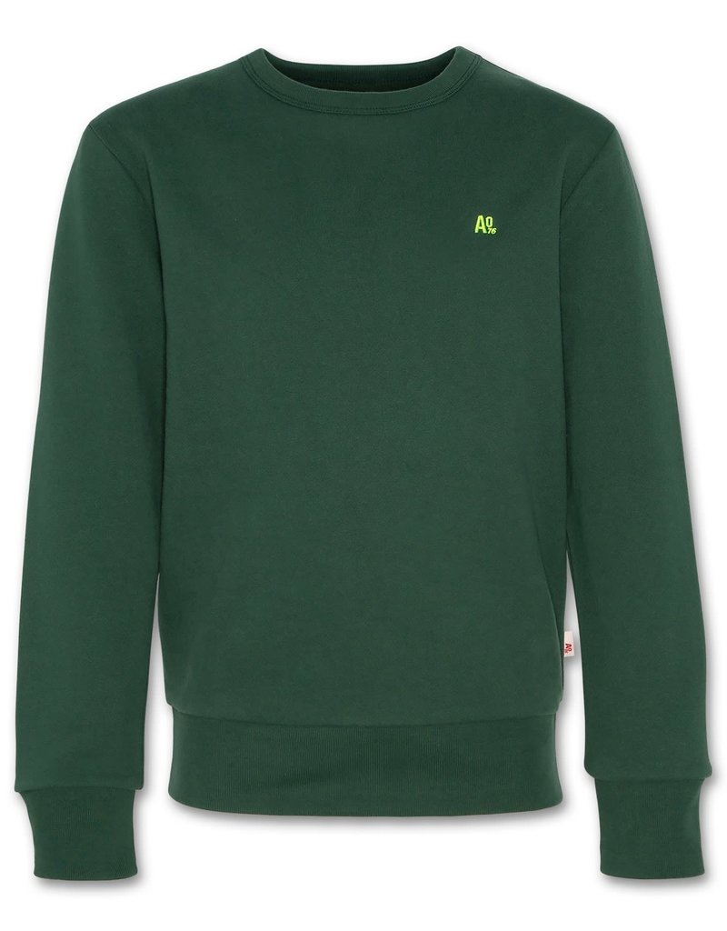 AO76 sweater donker groen