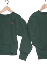 AO76 sweater donker groen