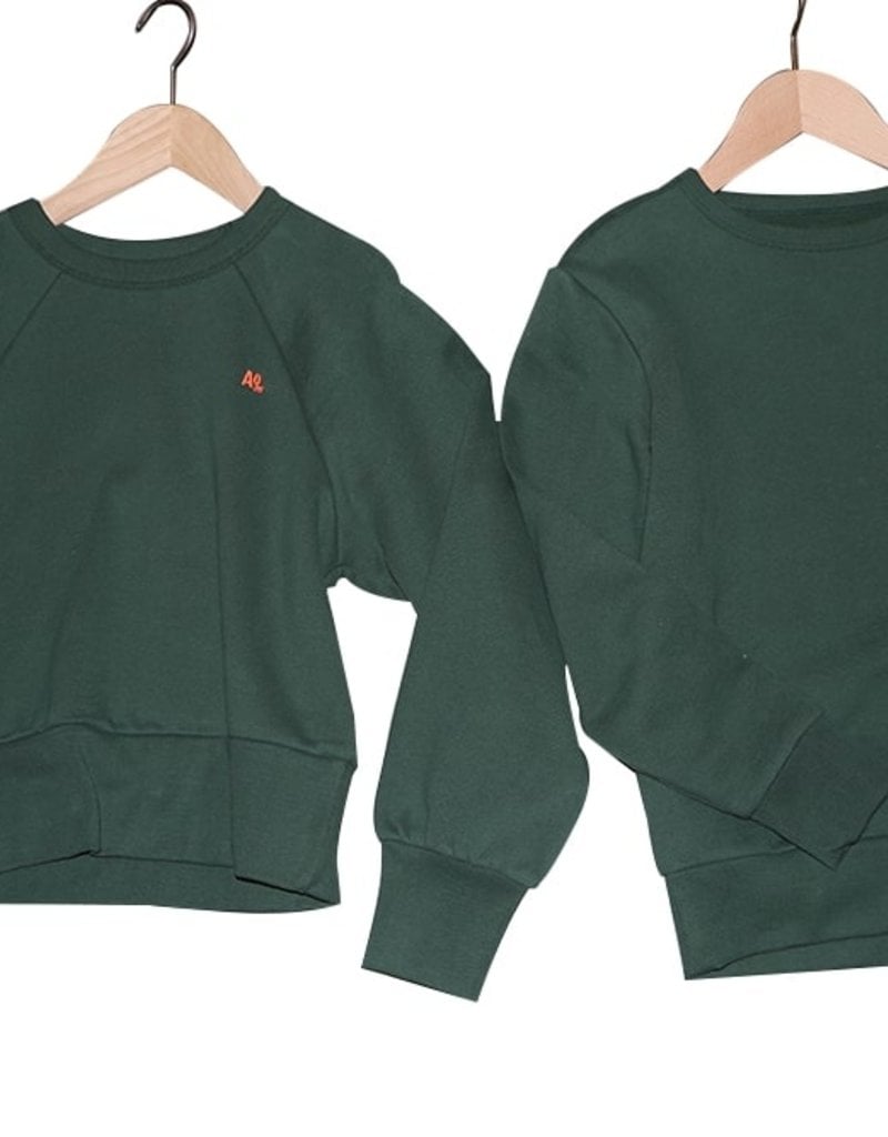 AO76 sweater donker groen