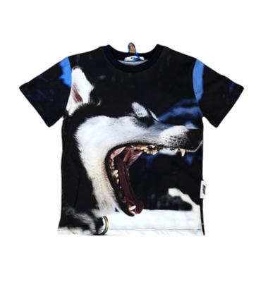 MSGM T-shirt jersey colour