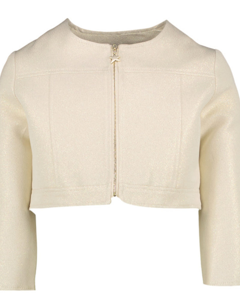 Linea Raffaelli goudkleurige blazer met rits