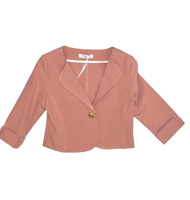 Emie soepele blazer in oud roze