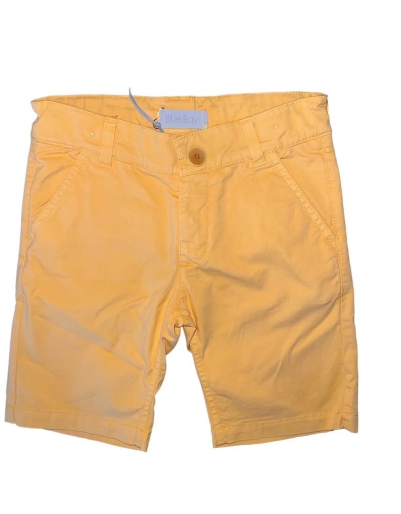 Blue Bay Party short geel Ian