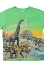 Molo t-shirt dinos colourful