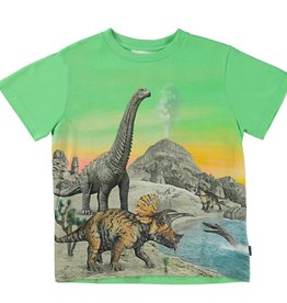 Molo t-shirt dinos colourful