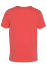 Ao76  t-shirt rood boards mat