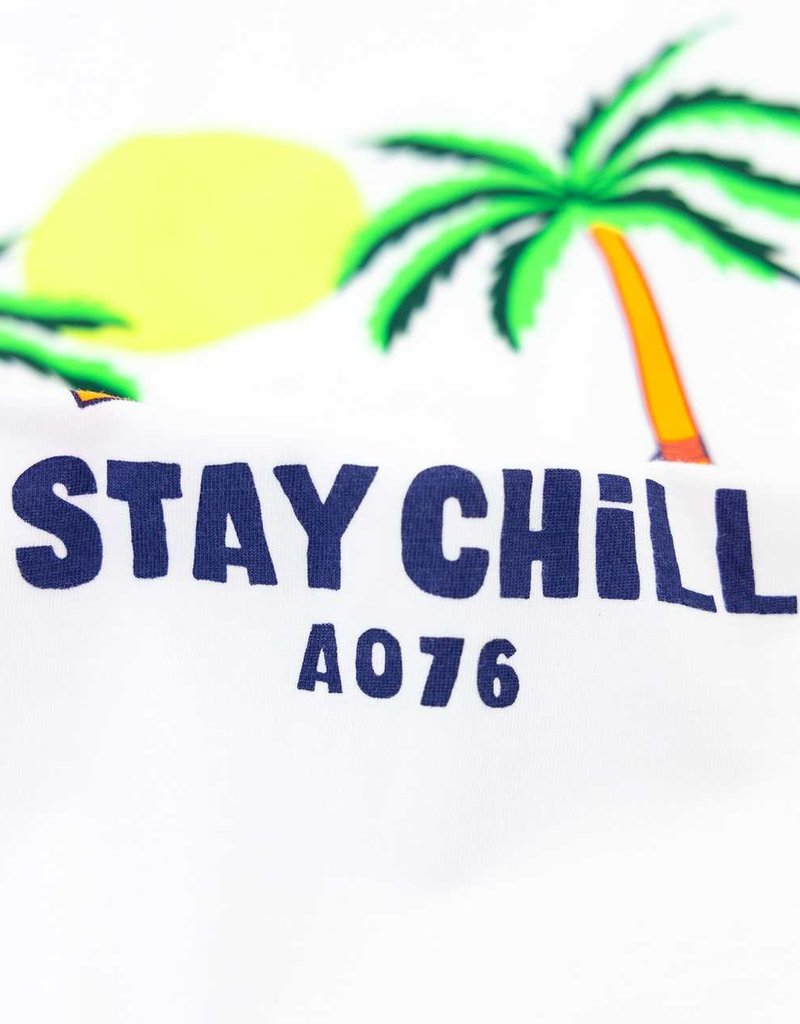 Ao76 wit t-shirt mat stay chill