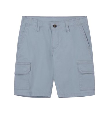 Hackett short lichtgroen