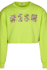 MSGM sweater cropped lime