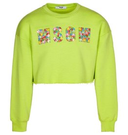 MSGM sweater cropped lime