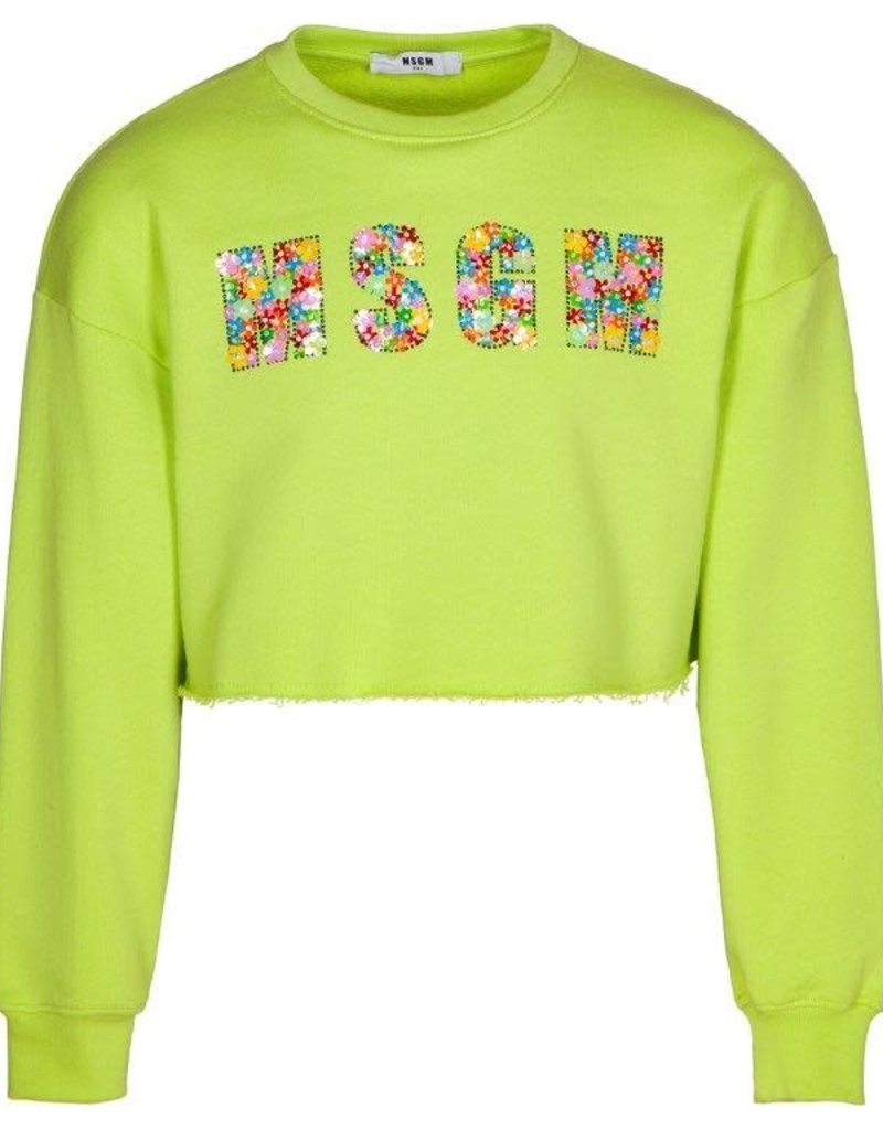 MSGM sweater cropped lime