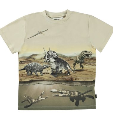 Molo t-shirt dinos woestijn