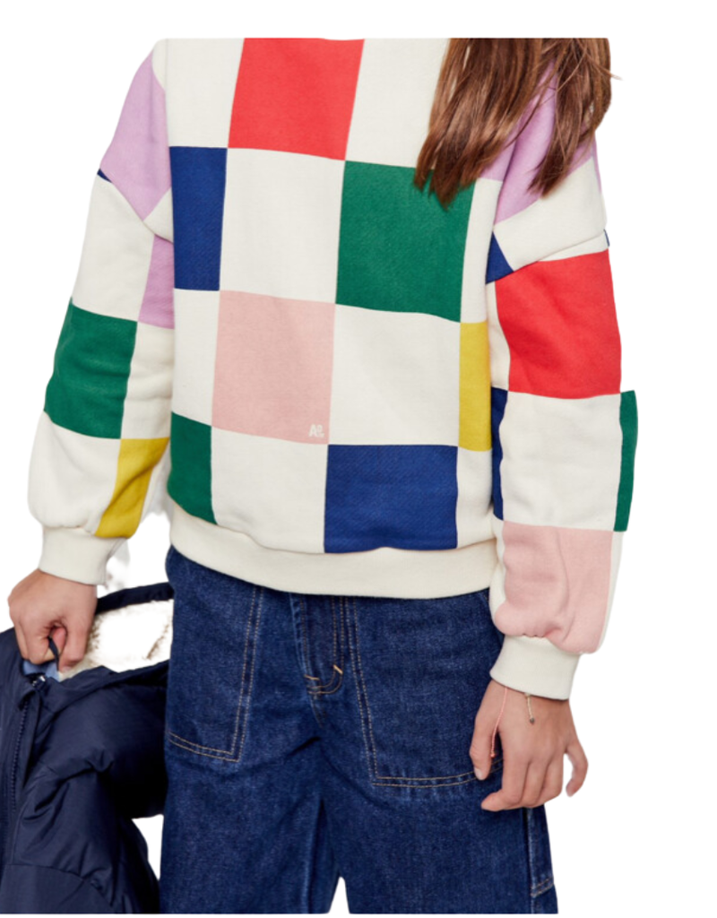 Ao76 sweater multicolor blokken