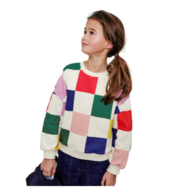 Ao76 sweater multicolor blokken