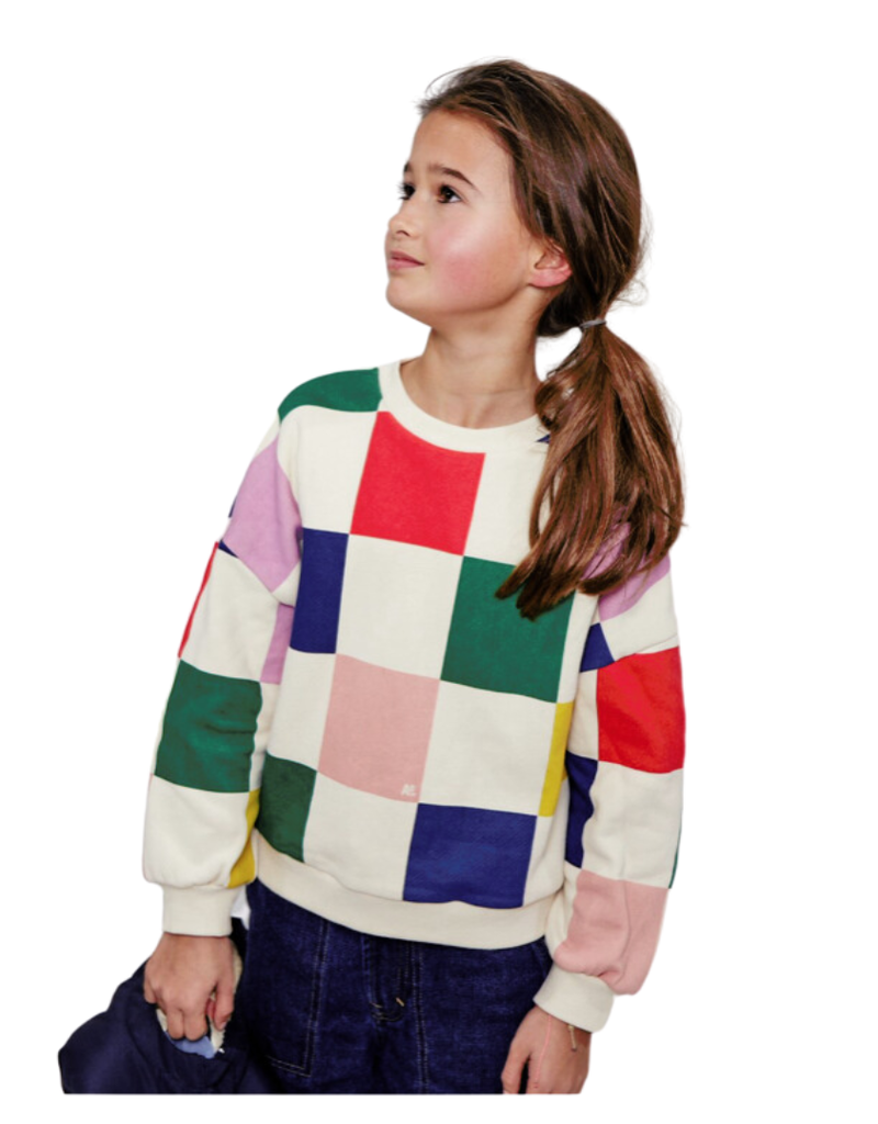 Ao76 sweater multicolor blokken