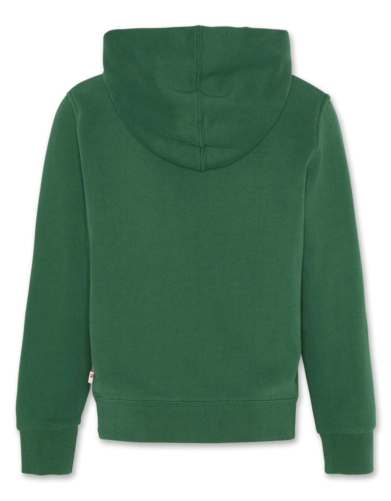 Ao76 hoodie skater hunter groen