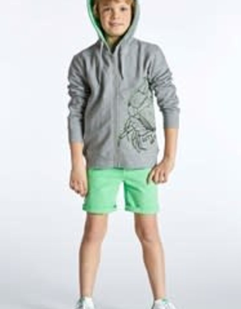 Blue Bay sweater hoodie kap rits grijs Jake