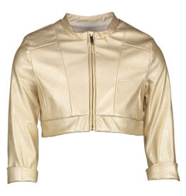 Miss Leod klassieke eco leder gouden blazer