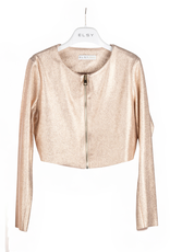 Elsy blazer goud met rits