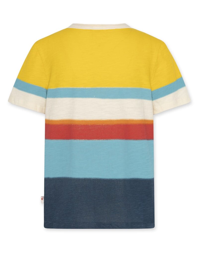 AO76 T-shirt multicolor vintage Mat