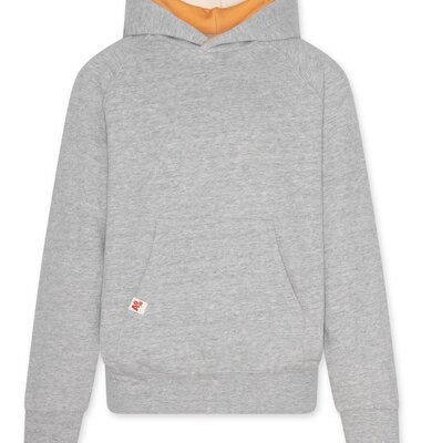 AO76 hoodie fantasy grijs oranje Clyde