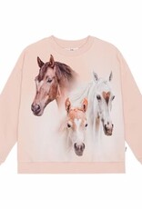 Molo sweater roze paarden