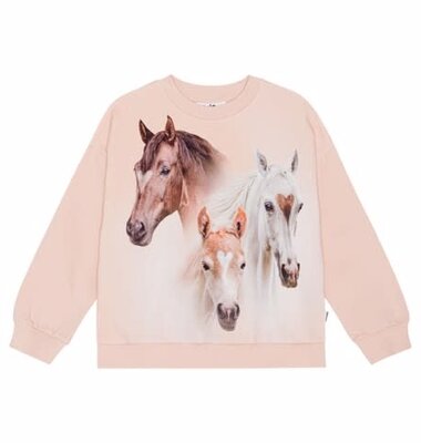 Molo sweater roze paarden
