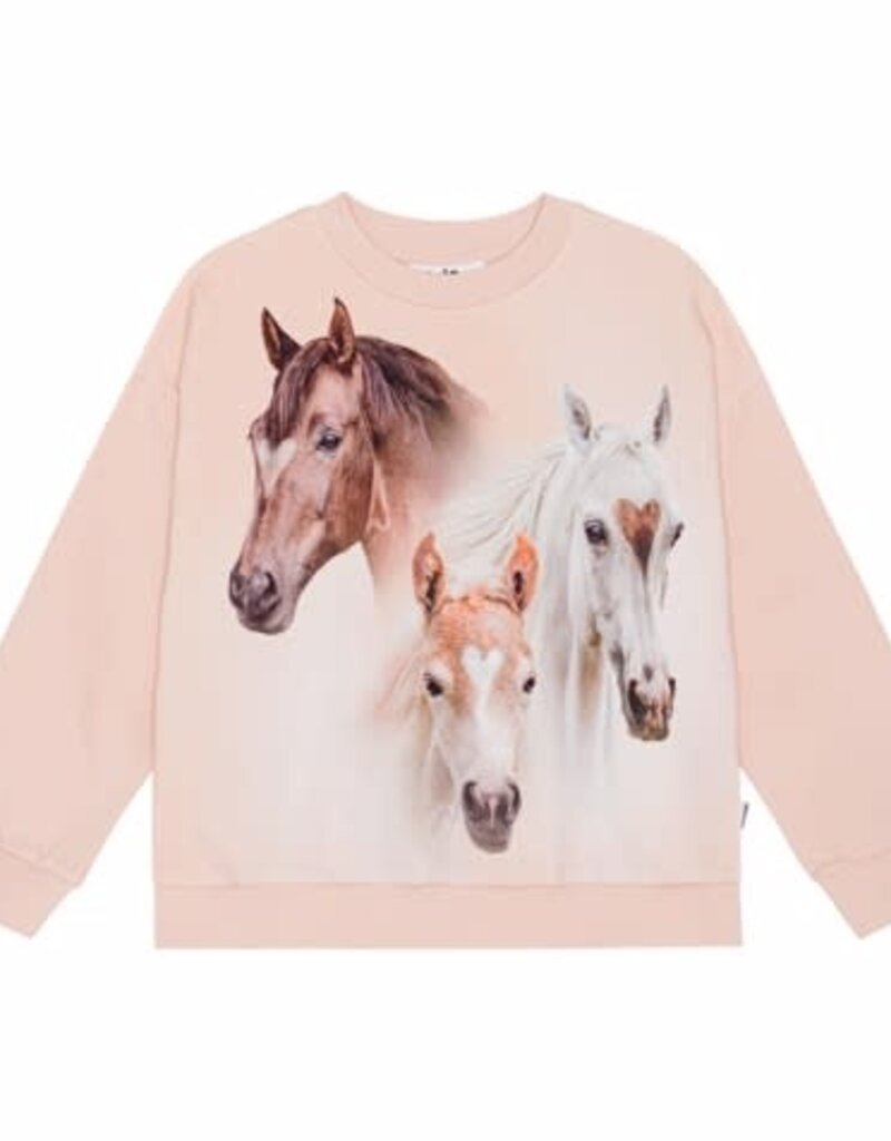 Molo sweater roze paarden