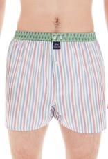 Mc Alson boxershort Striped multicolour green