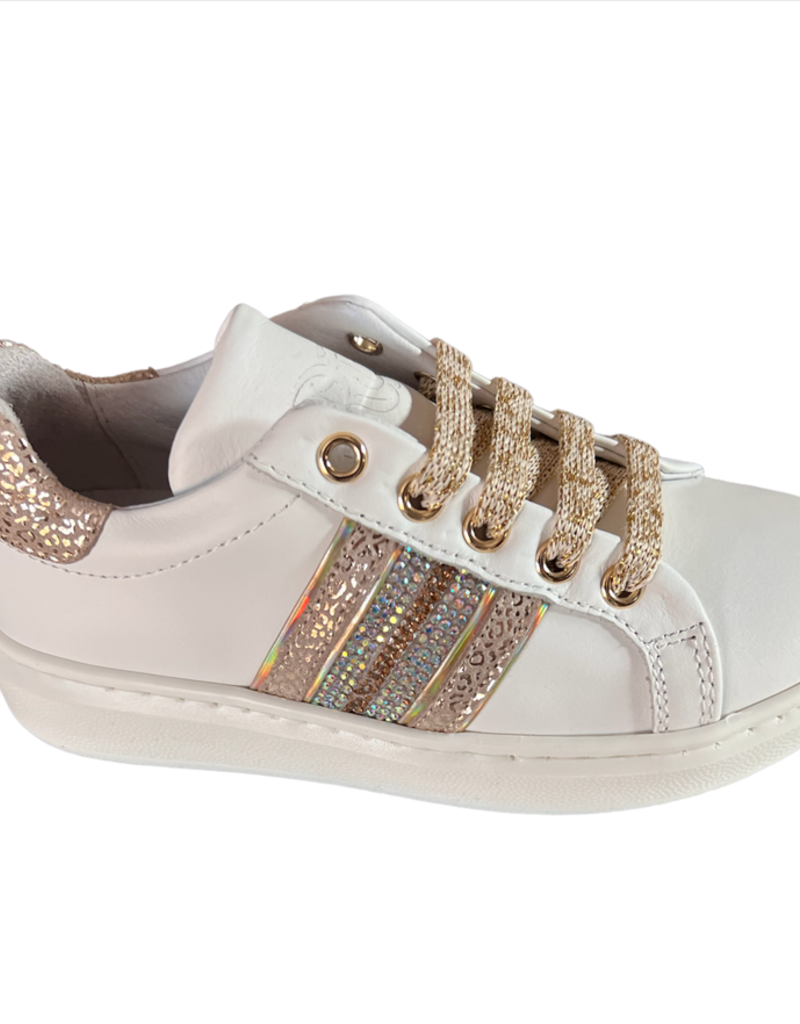 Rtb/Hoops sneaker wit goud zijkant