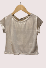 Elsy goudkleurige top luccica C