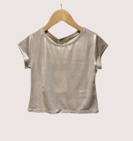 Elsy goudkleurige top luccica C