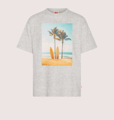 Ao76 katoenen t-shirt grijs palmboom silas
