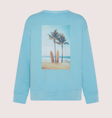 Ao76 licht blauwe katoenen sweater oscar