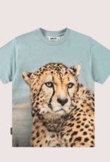 Molo T-shirt met tijgerkop rubin