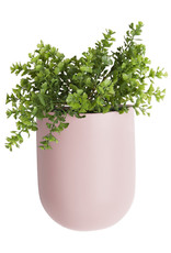 Present Time Present Time Wall plant pot