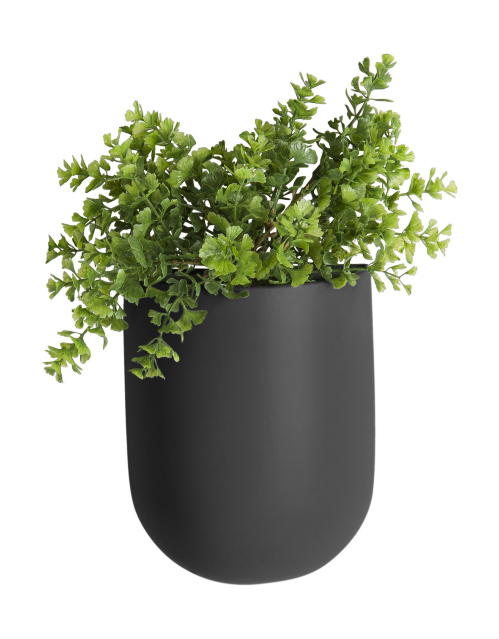 Present Time Present Time Wall plant pot