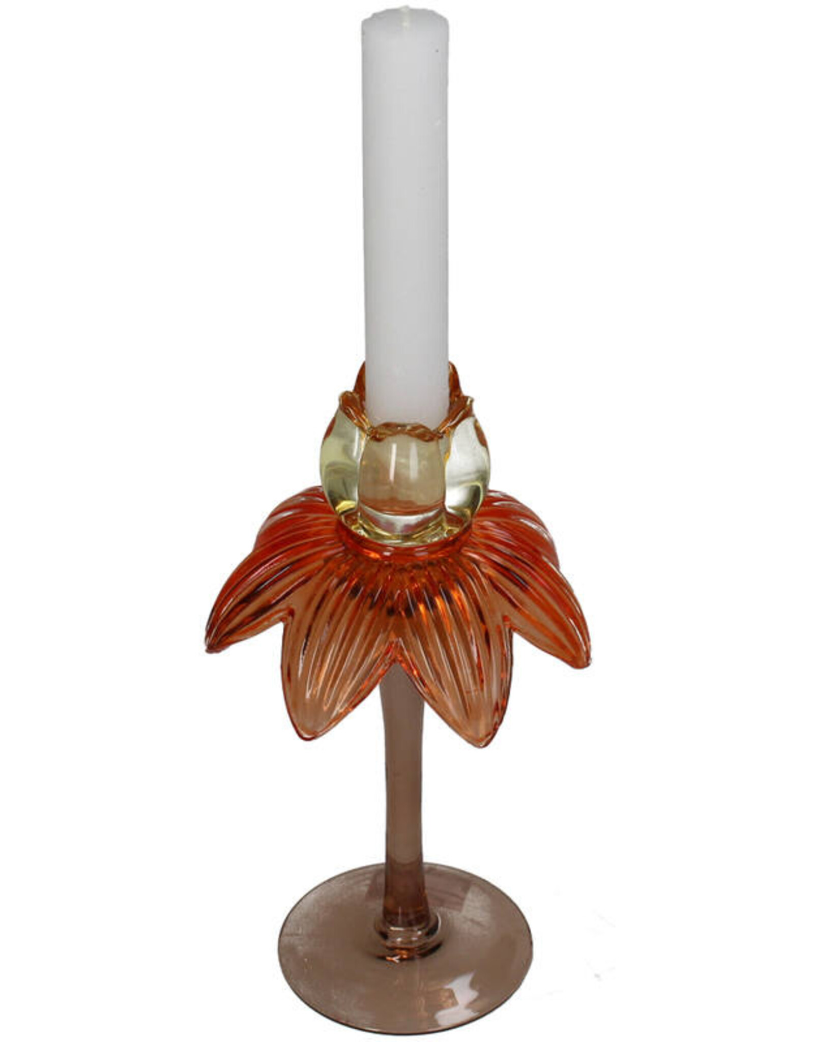 Kersten Candle Stick Palm Glass  S 8124