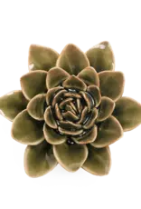 Chive Ceramic Flower Olive Green Echivera EG01