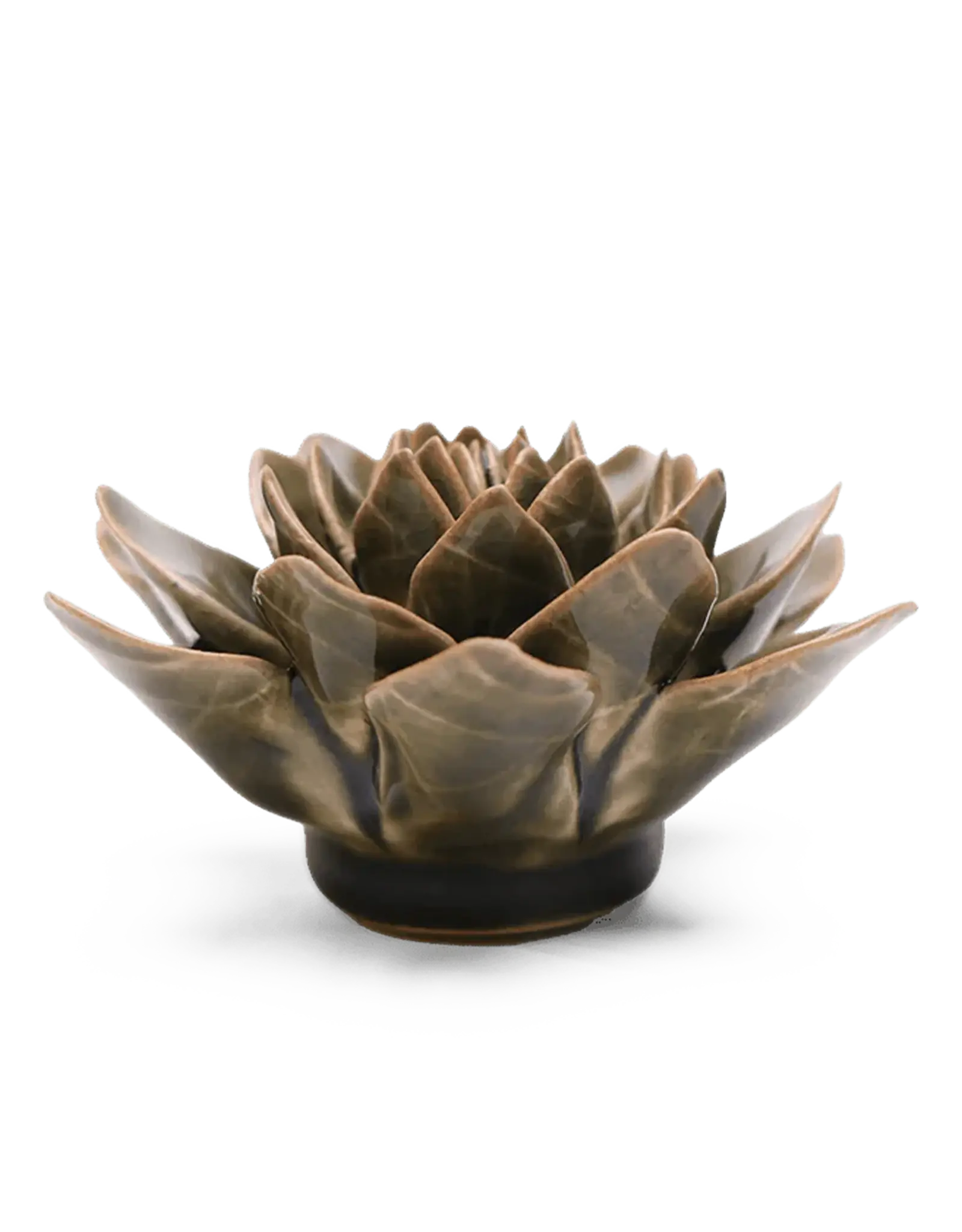 Chive Ceramic Flower Olive Green Echivera EG01