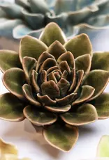 Chive Ceramic Flower Olive Green Echivera EG01